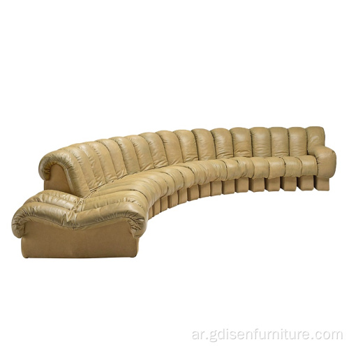 غرفة المعيشة الحديثة desede'snake'ds600sectionerserpentinesofa